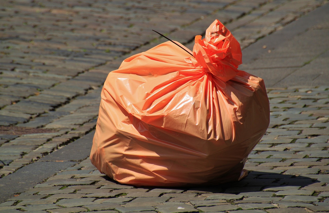 Why Is Waste Management Important for Urban Sustainability?
